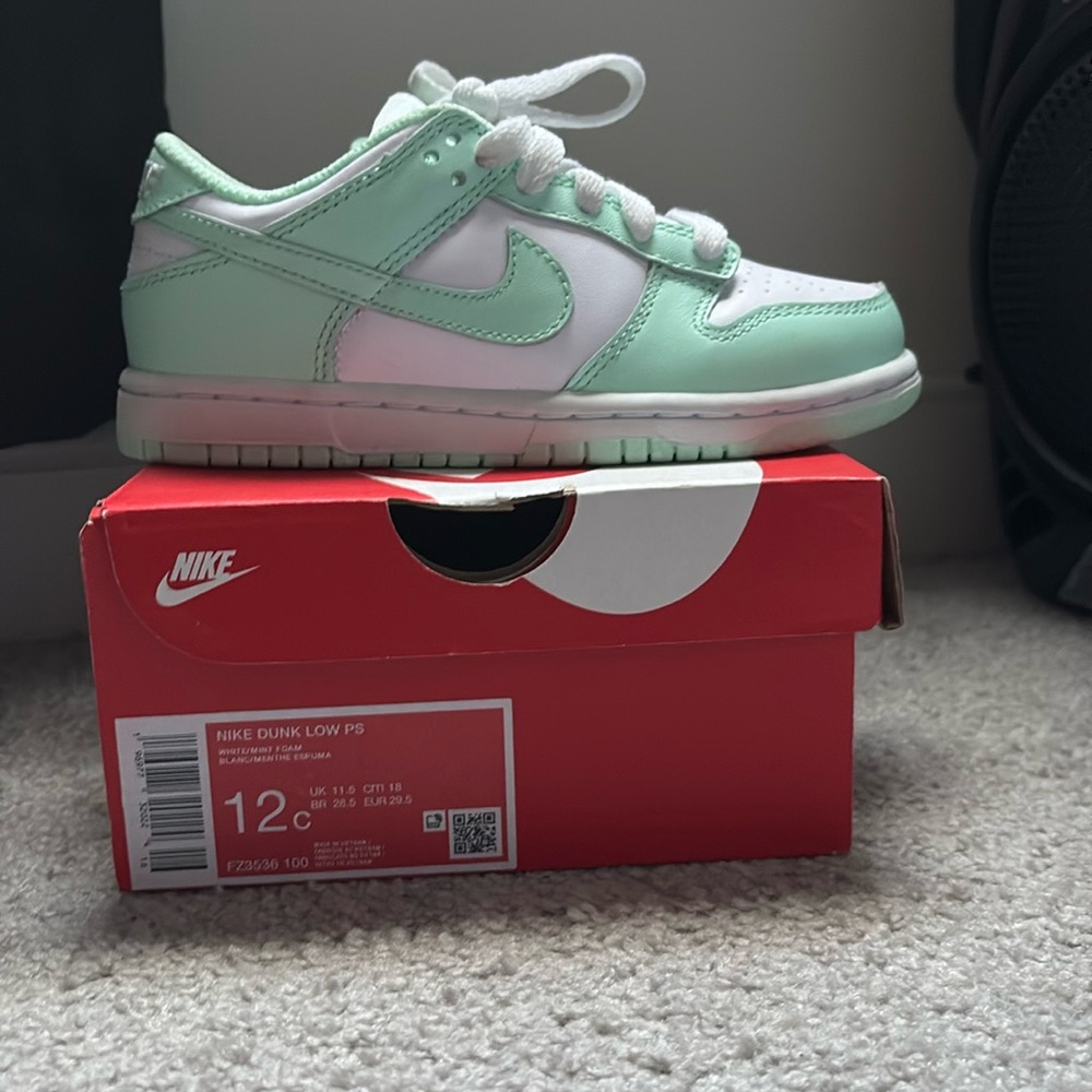 Toddler Nike Dunk Low
